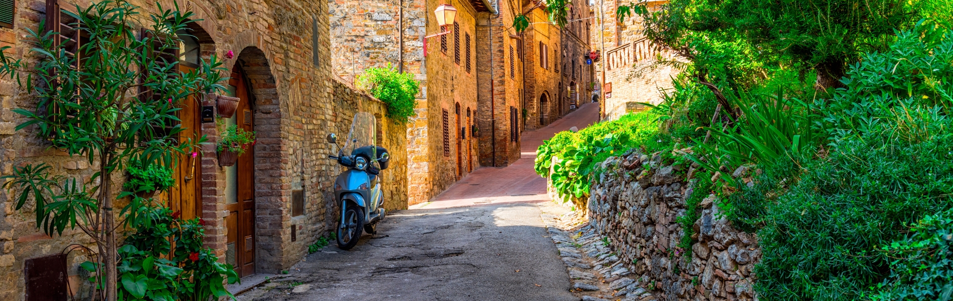 פירנצה הקסומה וטוסקנה האלגנטית | 5 ימים